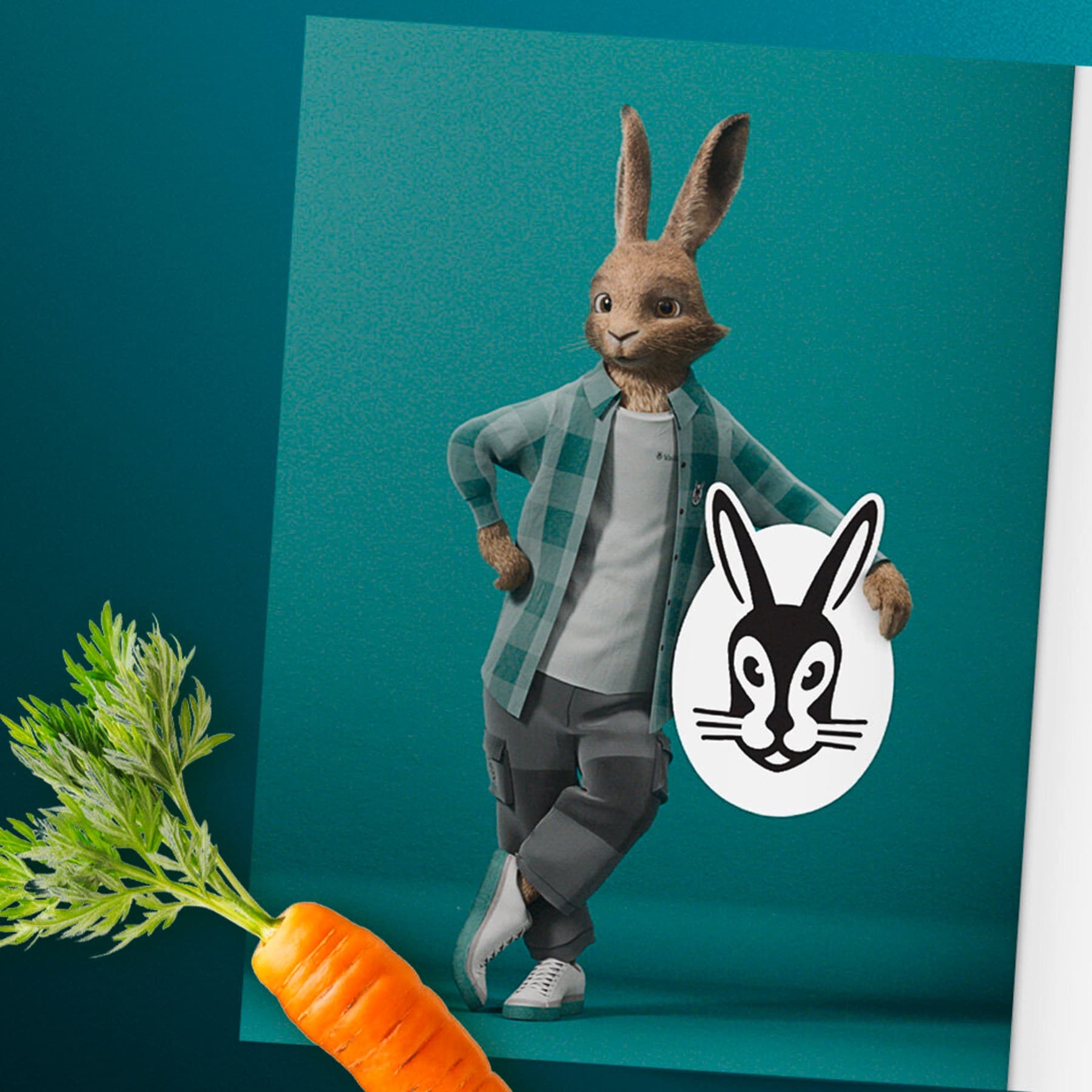 Vaillant Hare standing