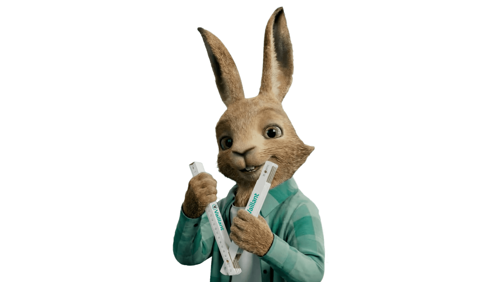 Vaillant hare holds a folding rule
