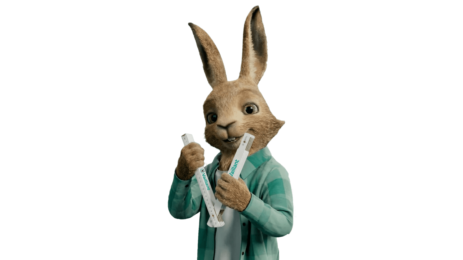 Vaillant hare holds a folding rule