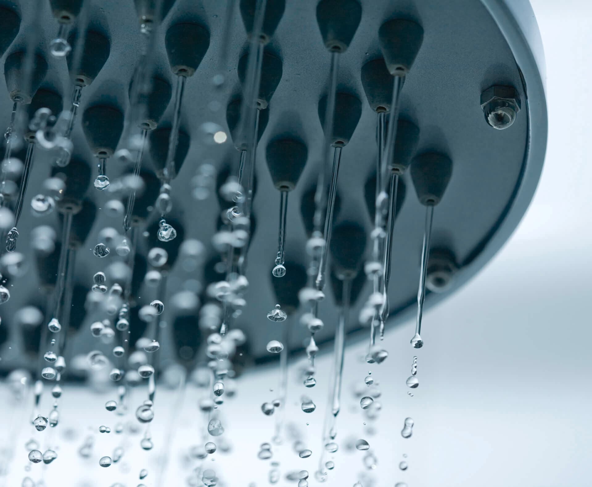 A shower head from which water comes out
