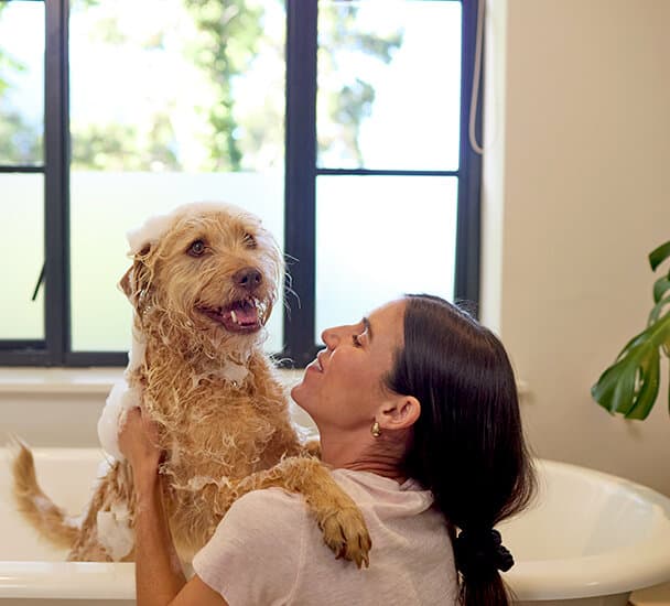 Woman bathing her dog