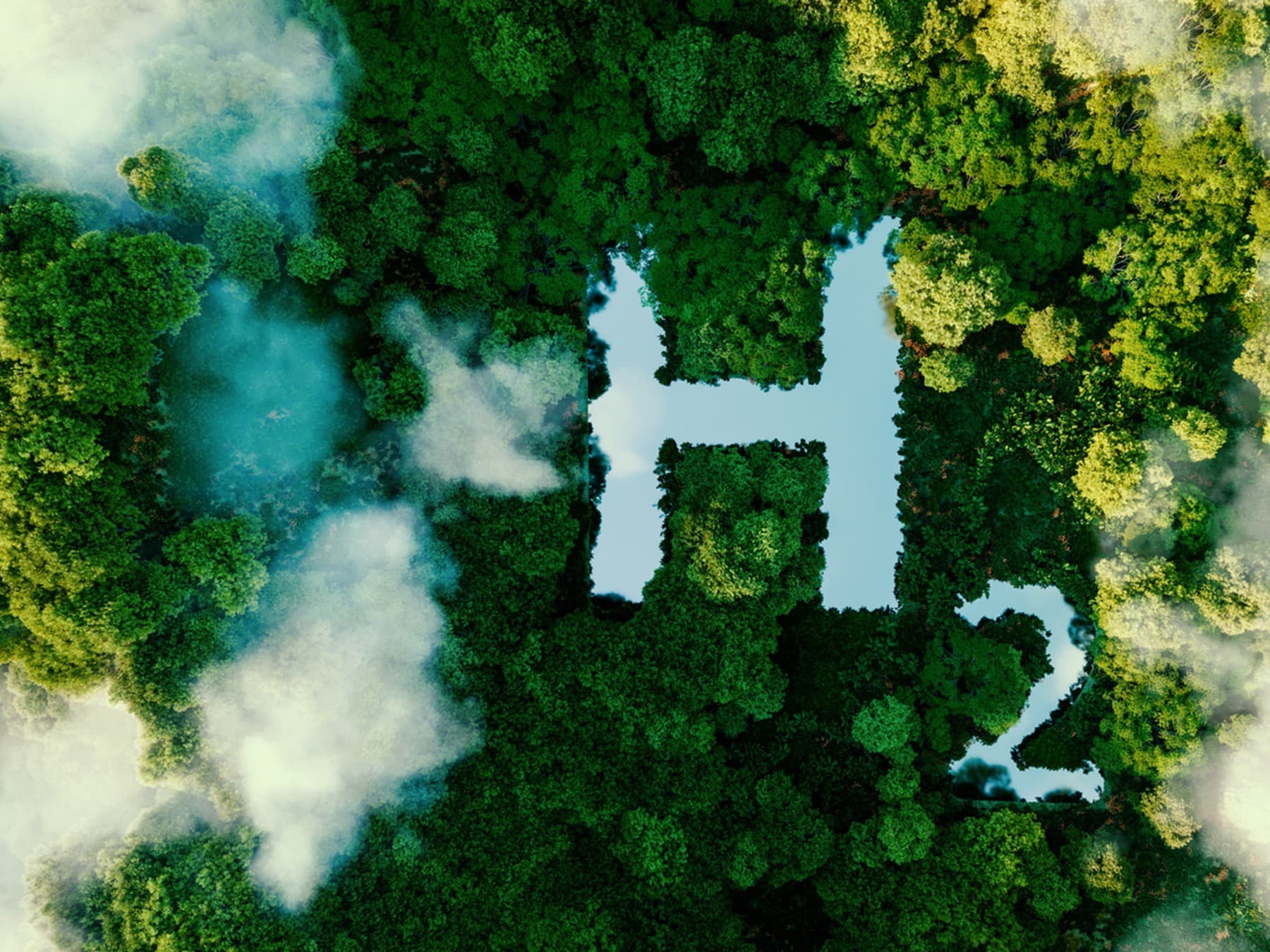 Forest with a hydrogen symbol in it