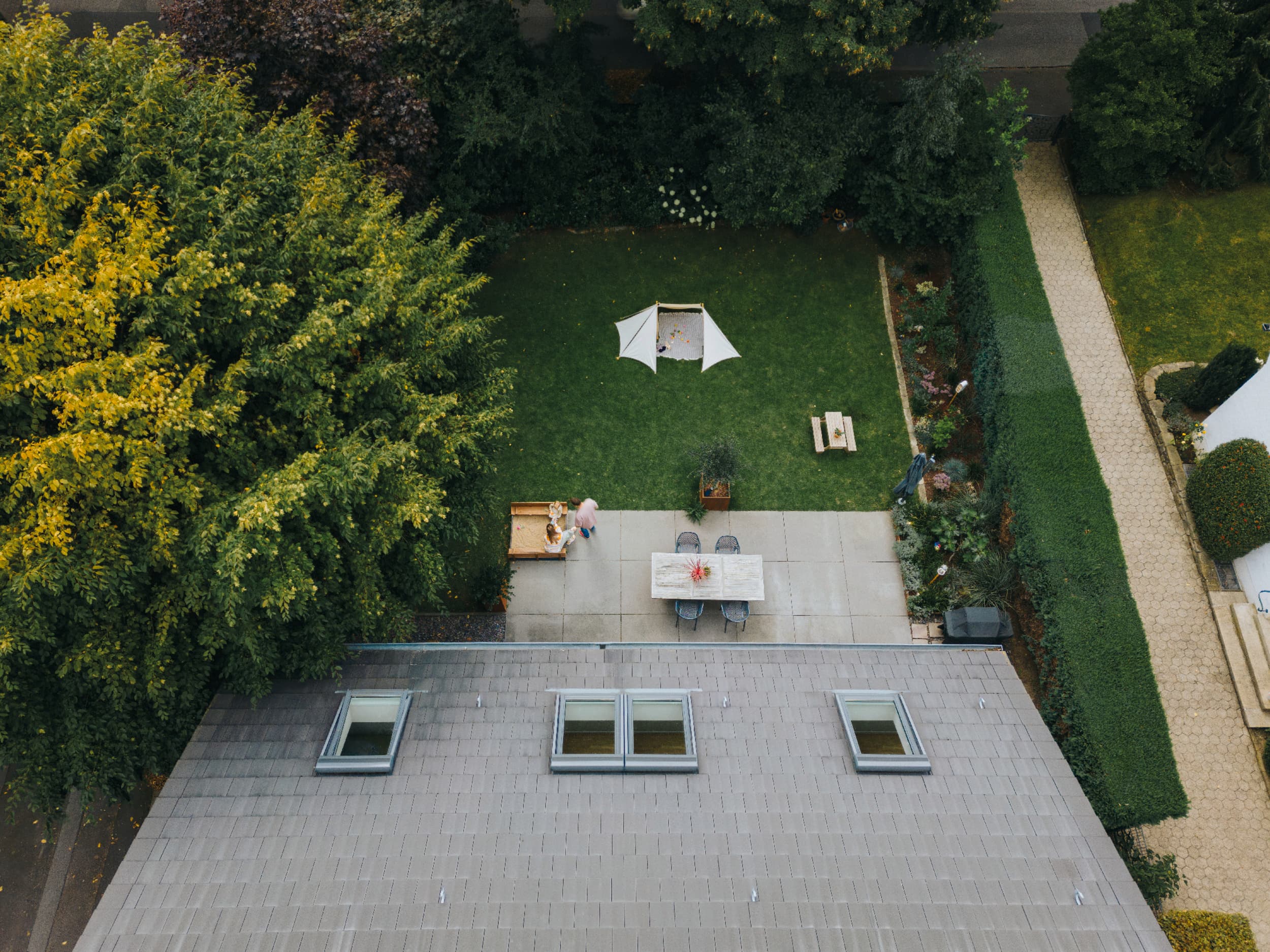 A bird's eye view of a garden