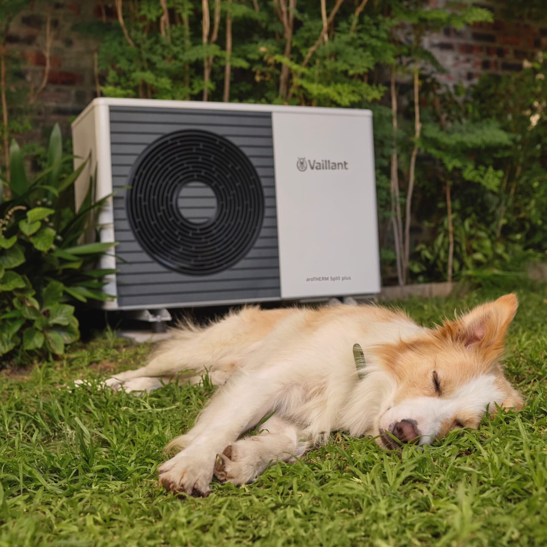 Dog sleeping infront of a heat pump in the garden
