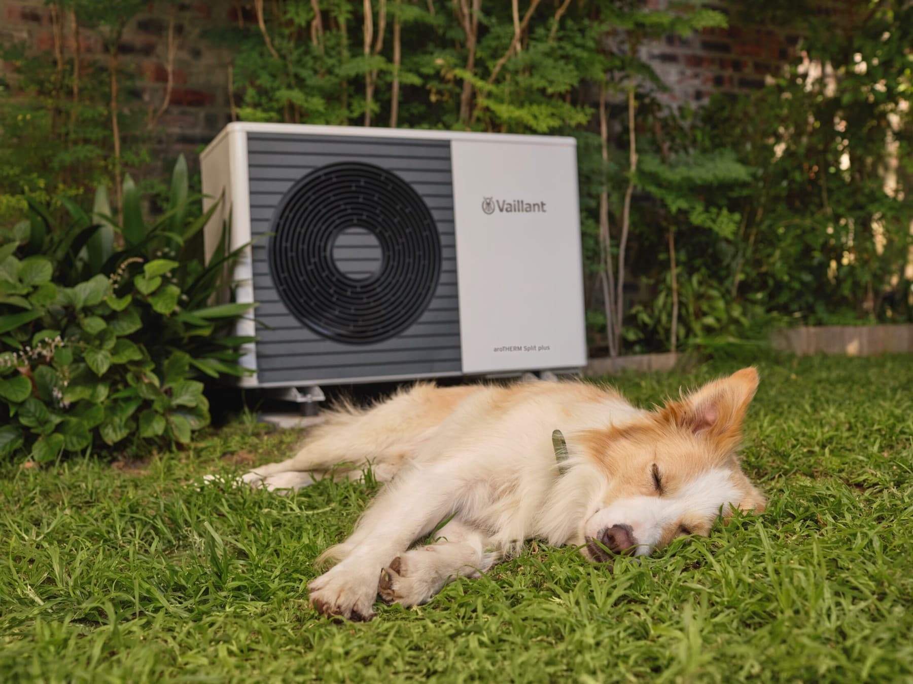 Chien dormant près d'une pompe à chaleur