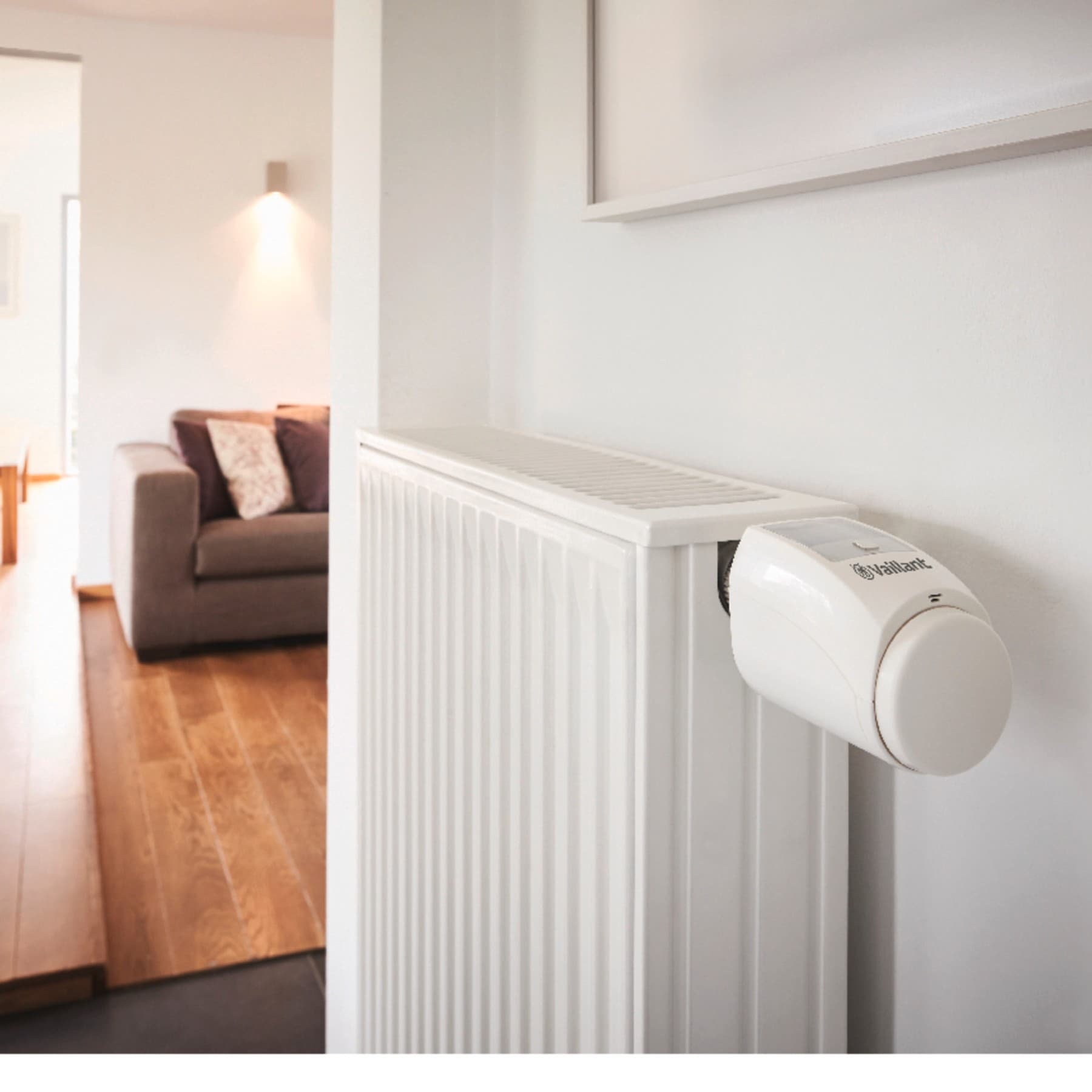 Radiator on living room wall