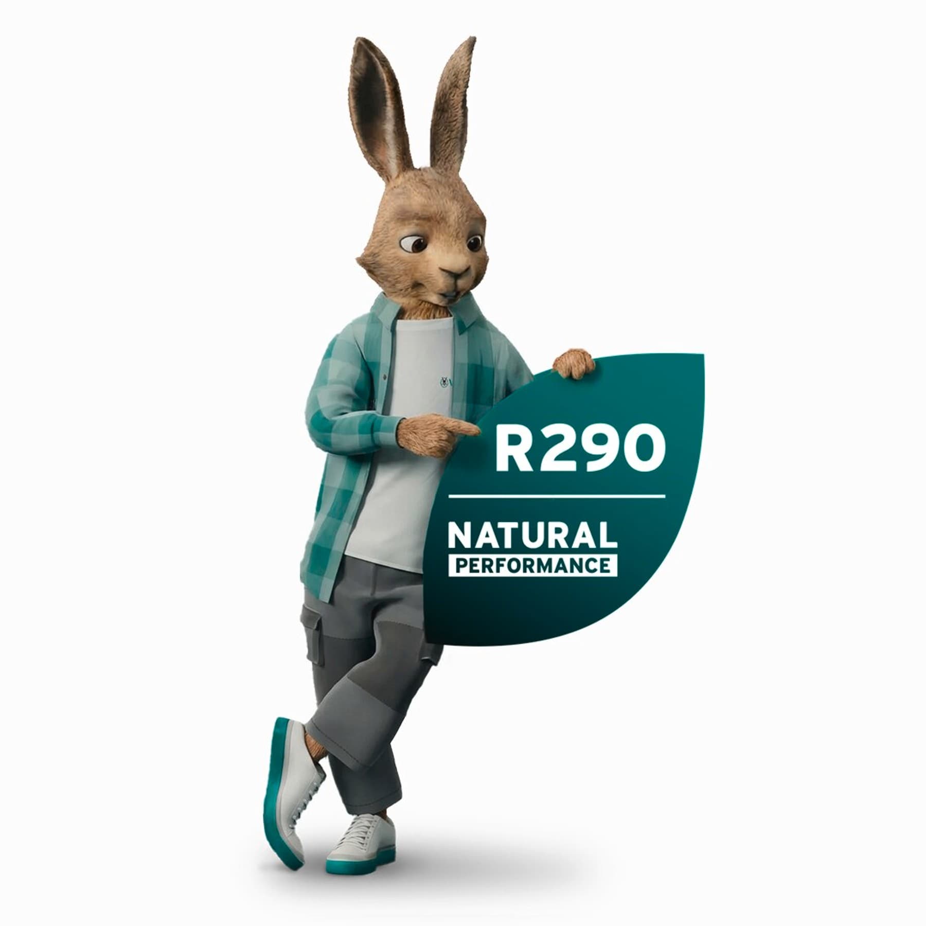 Vaillant hare with R290 signet