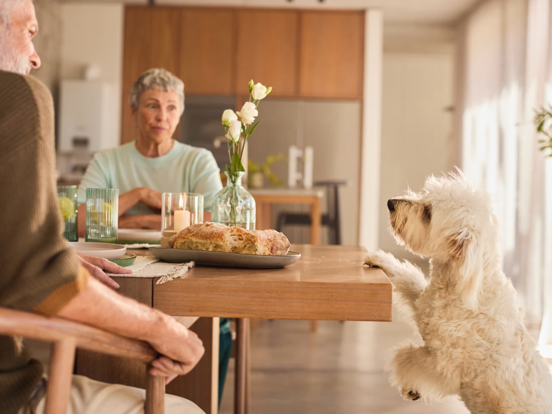 Couple prenant son petit-déjeuner tandis qu'un chien regarde la table